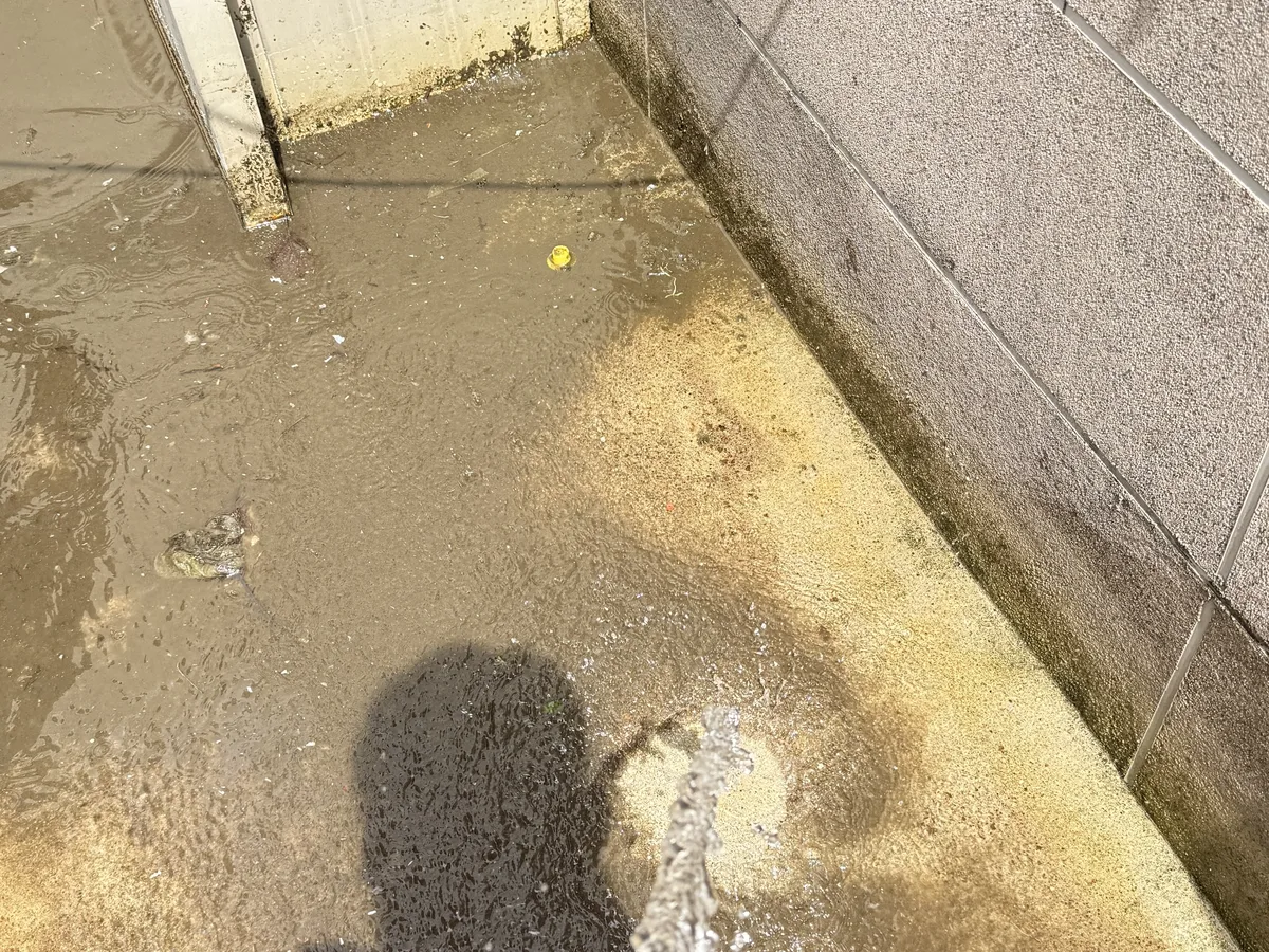 북구 각화동 침수 현장 복도·대기 동선 야간 위생청소 사례 - 행진크린